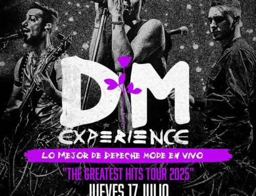 DM Experience en Mallorca