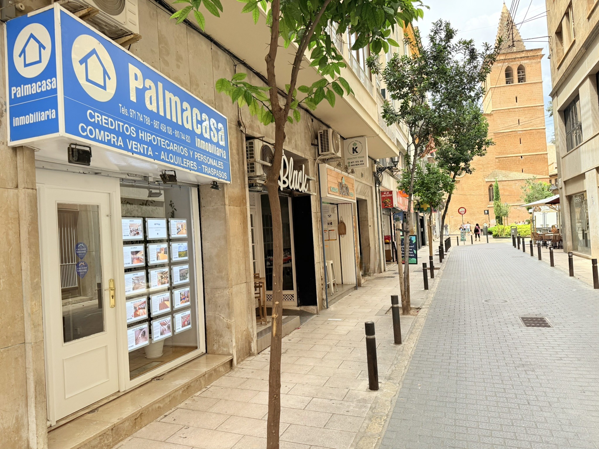 alquilar-piso-palma-de-mallorca